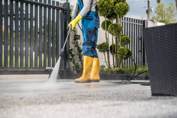 Best Driveway Pressure Washing  in Elk Grove Vlage, IL